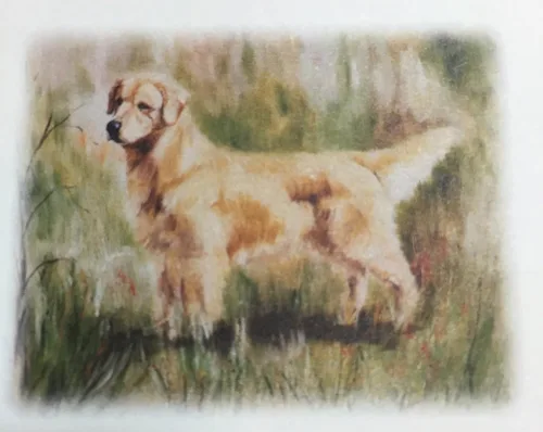 Vista 5 de Almohadilla magnética para lista de refrigerador Golden Retriever
