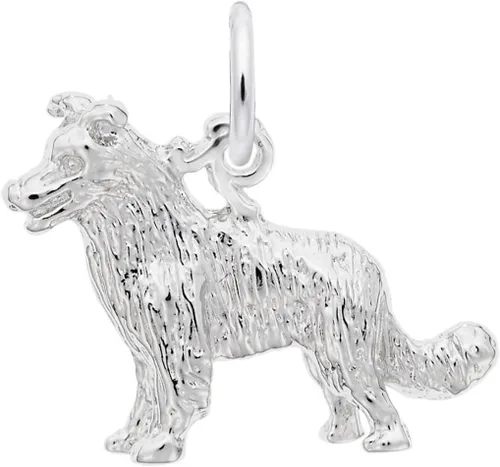 Vista 3 de Rembrandt Border Collie Perro Encanto
