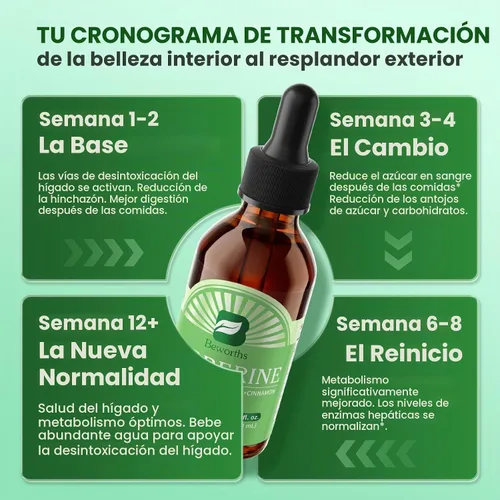 Vista 7 de B BEWORTHS Suplemento HCL de berberina con canela de Ceilán, gotas líquidas de fitosoma de berberina con cúrcuma, canela de Ceilán, melón amargo