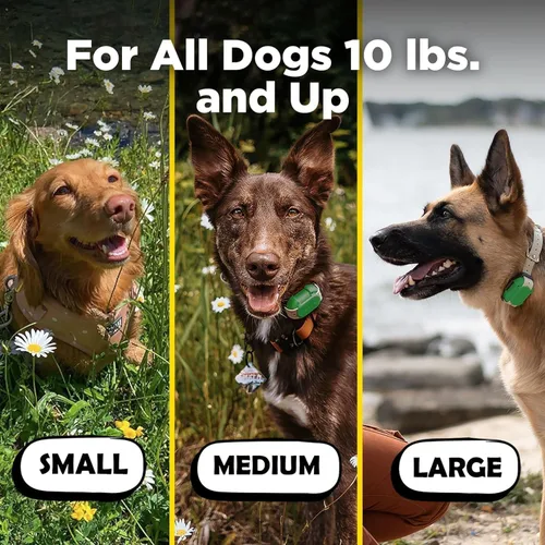 Vista 6 de Dogtra CUE Verde – Collar electrónico para entrenamiento de perros con control remoto – Entrenamiento hecho fácil para dueños de perros cotidianos