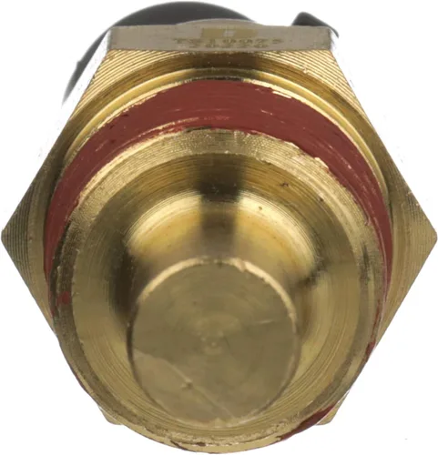 Vista 8 de Delphi TS10075 Sensor de temperatura del refrigerante