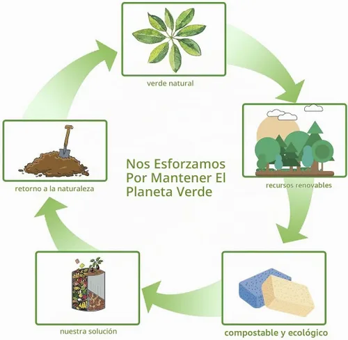 Vista 8 de Paquete de 8 esponjas de celulosa emergentes, grandes, comprimidas, ecológicas y sin plástico para cocina, baño y hogar