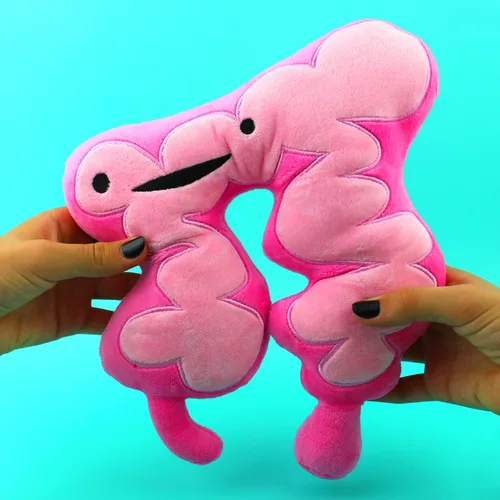 Vista 6 de I Heart Guts Peluche de Colon – Lindo peluche del sistema digestivo de 11 pulgadas para conciencia del cáncer, recuperación de cirugía y regalo