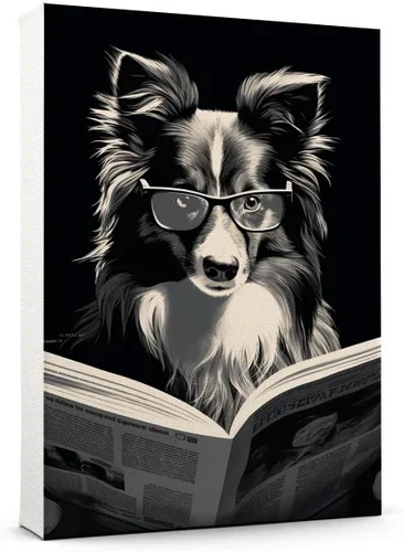 Vista 151 de Thuan Affenpinscher - Póster de lienzo con tus fotos, arte de pared para decoración del hogar, regalo conmemorativo para amantes de las mascotas