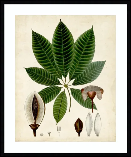 Vista 19 de Amanti Art Vision Studio - Lienzo decorativo para pared, 24 x 20 pulgadas, follaje verde VII por Vision Studio, arte de pared de naturaleza