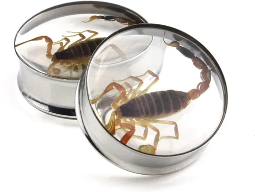 Vista 2 de Tapones para oreja, incrustaciones de escorpión auténtico, de acero inoxidable, túneles de doble llamarada, dilatadores para estirar, piercing