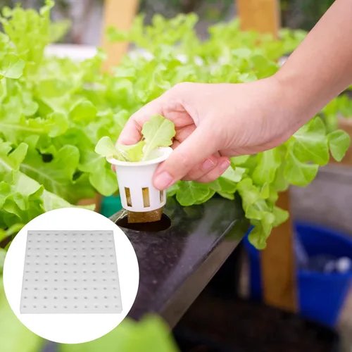 Vista 5 de Paquete de 200 esponjas hidropónicas para plantar, esponjas cuadradas de plántulas, esponja hidropónica para invernadero, esponja hidropónica