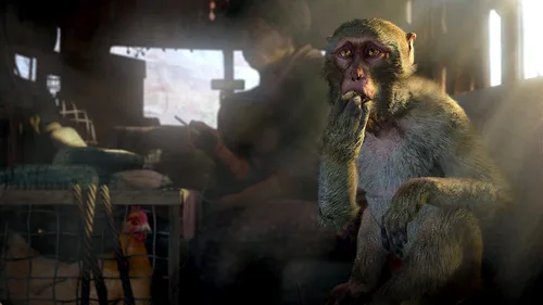 Vista 4 de Far Cry 4 - Limited Edition (PS4)