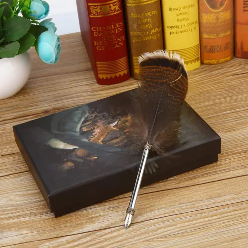 Vista 2 de Juego de bolígrafos de caligrafía de plumas, punta de metal suave para escribir con tinta, juego de regalo vintage para todos los bolígrafos