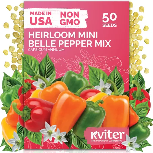 Vista 9 de KVITER 50 semillas de calabaza de azúcar orgánicas (Cucurbita Pepo) – Semilla de calabaza pequeña reliquia, carne dulce de grano fino para enlatar