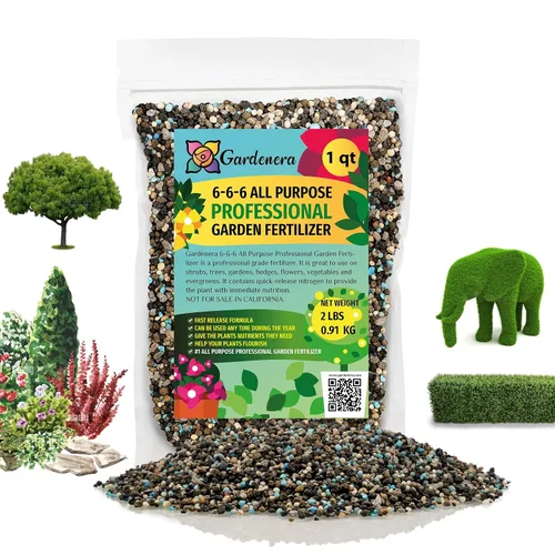 Vista 174 de Fertilizante profesional de palmeras prémium 8-4-8 Plantas en macetas de interior y palmeras de paisaje al aire libre Fertilizante nitrogenado