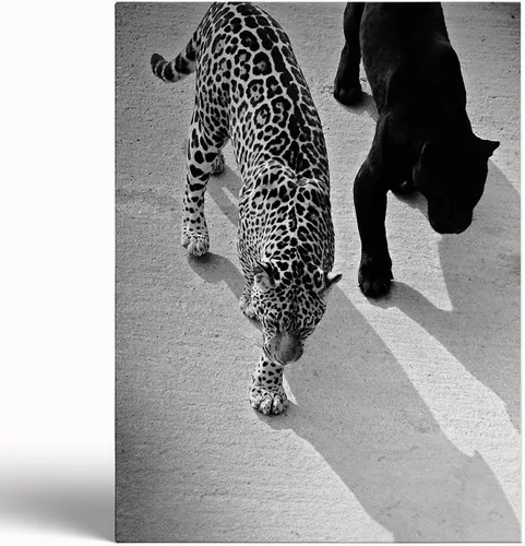 Vista 7 de Impresión de guepardo en el espejo, impresión de fotografía en blanco y negro, leopardo vintage en blanco y negro, fotos de espejo con aspecto