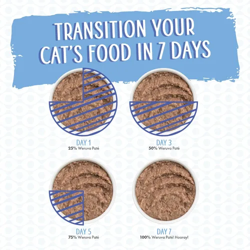Vista 9 de Weruva Paté clásico para gatos, presiona tu cena con pollo, lata de 5.5 onzas (paquete de 8)