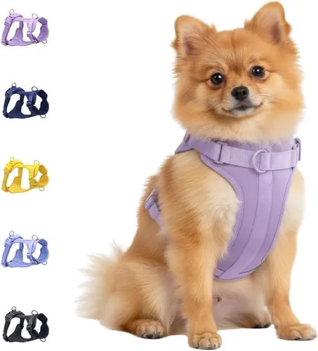 Vista 19 de Dog Harness - No Pull Adjustable Front Clip Vest with Soft Padding, 3Leash Clips, and No-Choke Oxford Design Comfort for Small, Medium, and Large