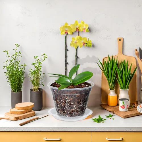 Vista 4 de Macetas transparentes para orquídeas, paquete de 8 unidades, 5 pulgadas