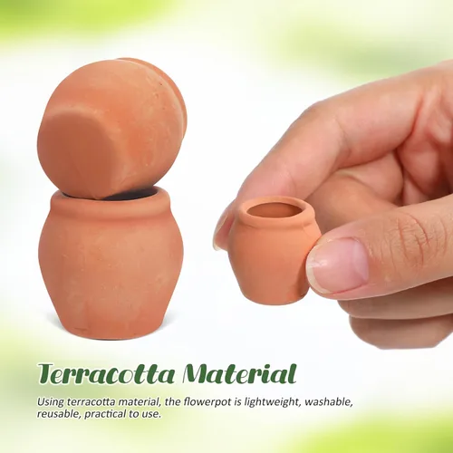Vista 7 de Toddmomy Juego de 6 macetas de terracota para suculentas, pequeñas macetas de arcilla para plantas de jardinería en interiores y exteriores, plantas