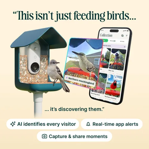 Vista 4 de Birdbuddy PRO Comedero Inteligente para Aves sin Energía Solar con Cámara - Identificación de Especies de Aves por IA, Fotos de 5MP, Cámara