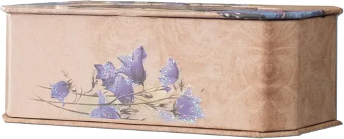 Vista 4 de Cottage Garden Sister You are Loved - Caja musical con purpurina de mariposa y pájaro, toca sintonía y ilumina mi vida