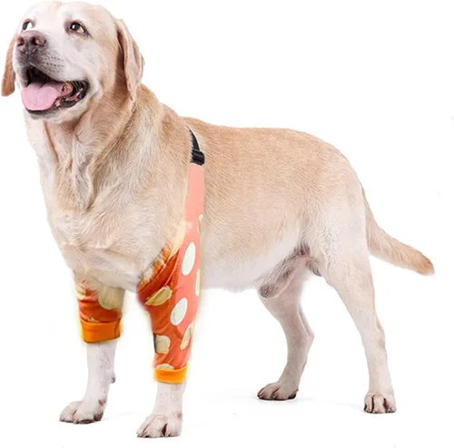 Vista 17 de Protector de codo para perro, coderas con almohadilla de malla para perros medianos y grandes para evitar lamer heridas (automóvil, 4XL)