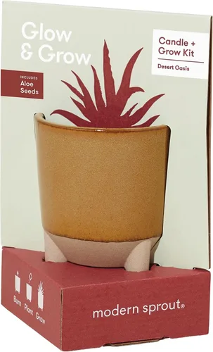 Vista 9 de Modern Sprout Kit Glow and Grow – Vela perfumada 2 en 1 que se convierte en una planta de albahaca – Vela de soja de 12 onzas con 78 horas de tiempo