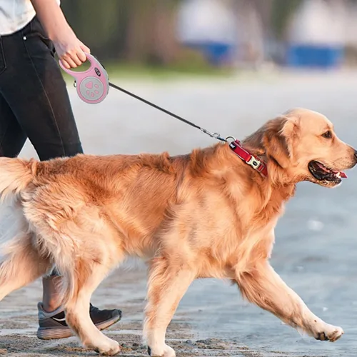 Vista 7 de Correa retráctil para perro de 16 pies, correa de nailon resistente con botón de bloqueo rápido para perros pequeños y medianos (rosa)