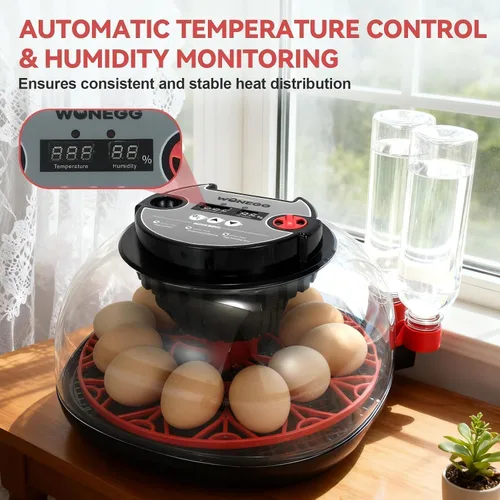 Vista 5 de Gen II - Incubadora automática de 12 huevos, humedad de dos etapas con recarga automática y control de temperatura estable, giro automático
