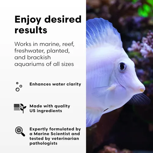 Vista 3 de Brightwell Aquatics RedoxIclean Limpiador de residuos orgánicos y potenciador Redox mejora la filtración y descomposición de la claridad del agua