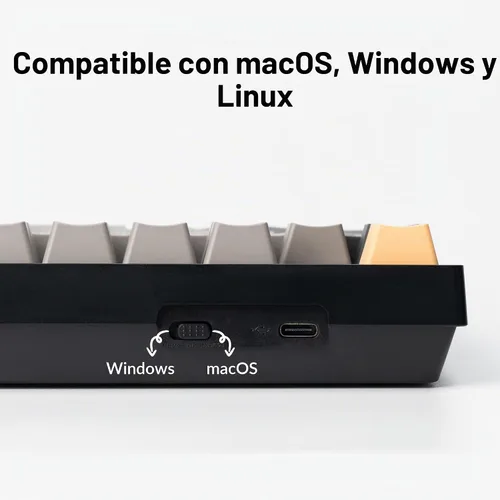 Vista 5 de Keychron C2 Pro Teclado Mecánico Personalizado con Cable Diseño de Tamaño Completo QMK/VIA Macro Programable con Retroiluminación Blanca