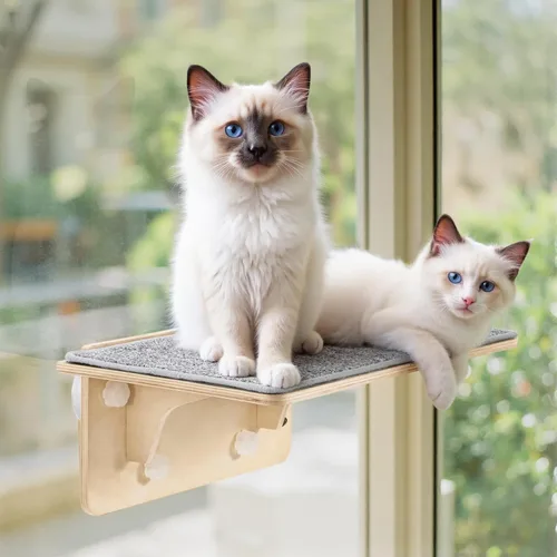 Vista 10 de Pecute - Percha para ventana de gato 2 en 1 y estantes de pared, hamaca