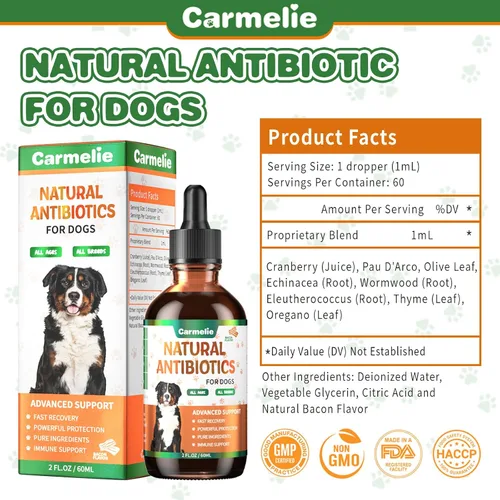 Vista 7 de Antibióticos naturales para perros – Antibióticos para perros, suplementos nutricionales para problemas de piel, alivio de picazón, suplemento