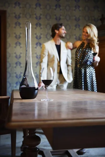 Vista 6 de Decantador de vino Amadeo de sommelier para cena de gala Riedel, talla única , Transparente