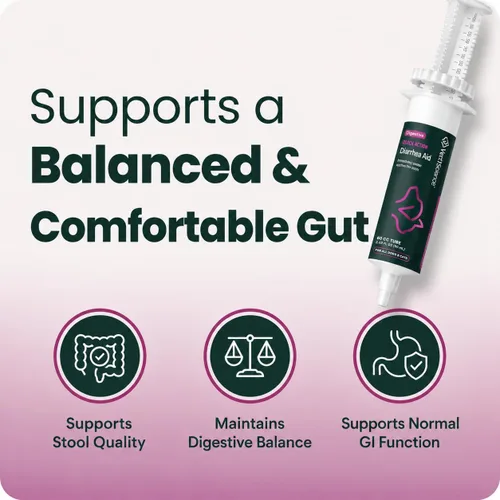 Vista 2 de VetriScience Pasta de ayuda para la diarrea de acción rápida con probióticos y vitaminas B, suplemento de apoyo digestivo de equilibrio rápido