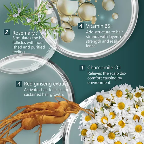 Vista 3 de SH-RD Champú activador de ginseng rojo para cabello adelgazante Extracto de hierbas, romero, vitamina B5 Levantamiento de raíces, control