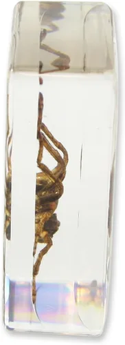 Vista 2 de REALBUG Pisapapeles Spider (1 1/8 x 1 3/4 x 3/4)