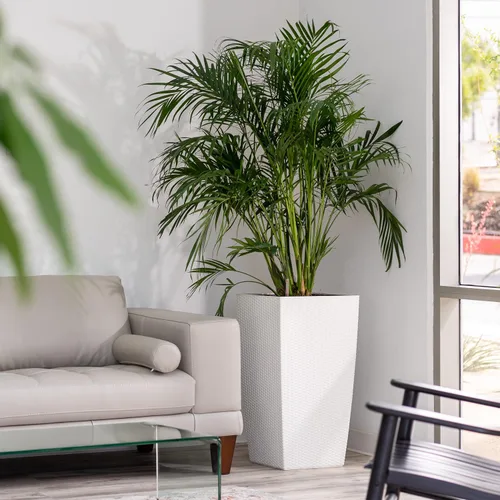 Vista 8 de XBrand Maceta cuadrada de ratán blanco de 30 pulgadas de alto para interiores y exteriores, maceta decorativa alta para jardinería, decoración