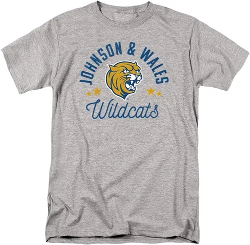Vista 134 de Collegiate Distressed Mascot Unisex Adult T Shirt Collection 3 Universidad de Adelphi