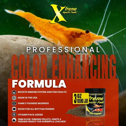 Vista 5 de Xtreme Shrimpee - Palitos de hundimiento de 0.118 pulgadas: alimento diario rico en nutrientes y alto contenido de vitaminas para camarones, corys