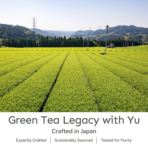 Vista 9 de Yu Tea - Té verde orgánico de Hojicha en polvo, 75 porciones, rico en antioxidantes y EGCG, té verde tostado japonés puro, alternativa baja