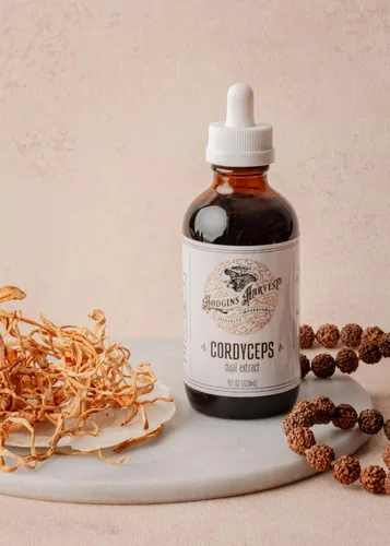 Vista 4 de Hodgins Harvest Tintura de Extracto de Cuerpo Fructífero de Hongo Cordyceps Orgánico - Suplemento de Extracto Doble Extra Concentrado - Hongos