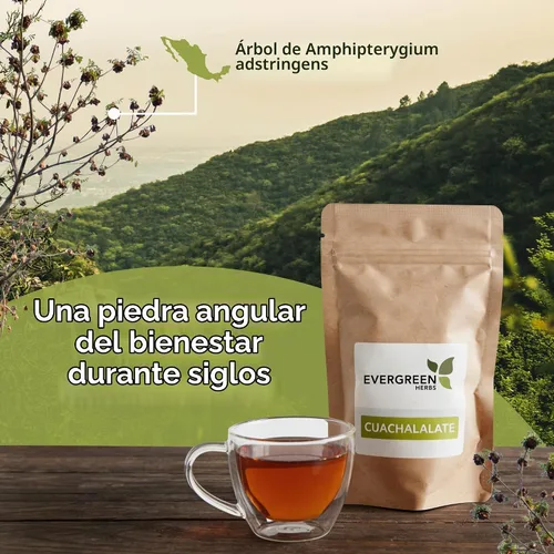 Vista 2 de Evergreen Herbs Hierba Cuachalalate (Amphipetyglum Adstringens) – Bolsa resellable de pie para garantizar la frescura. Hierba 8 onzas