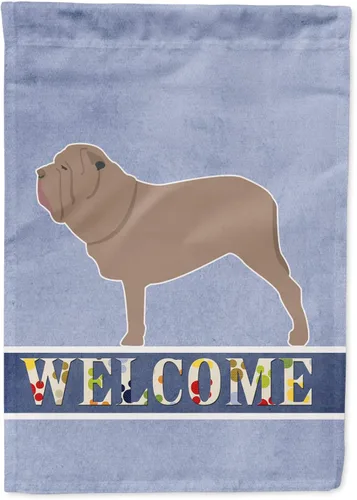 Vista 100 de Caroline's Treasures BB5552GF Affenpinscher Bandera de bienvenida para jardín, bandera decorativa para patio exterior, patio, parterres