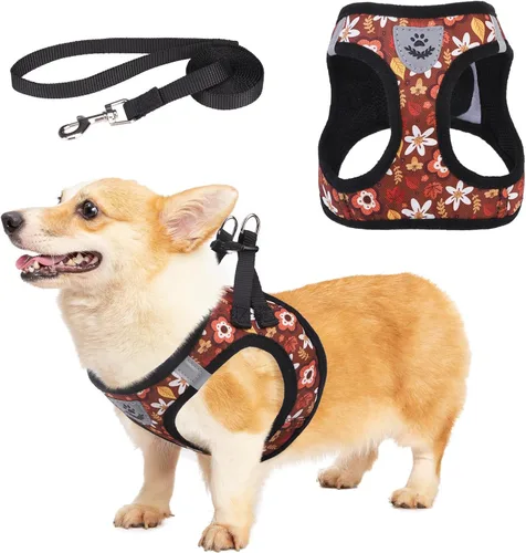 Vista 26 de Arnés de malla suave para cachorros – Juego de arnés y correa para perros pequeños, ajustable y cómodo chaleco reflectante acolchado para cachorros