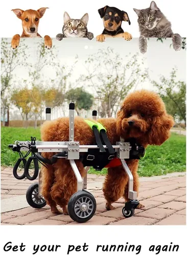 Vista 2 de Silla de ruedas para perros para patas delanteras, silla de ruedas ajustable para gatos de 4 ruedas con cinturón de vientre, carrito de mascotas