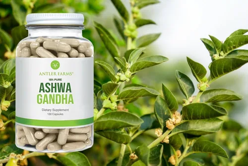 Vista 3 de Antler Farms Extracto de raíz de Ashwagandha y raíz de Ashwagandha 100% puro, 130 cápsulas, 1200 mg – Estandarizado al 5% de withanólidos, mejora