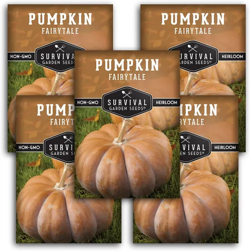 Vista 12 de Semillas de calabaza de cuento de hadas para plantar - 1 paquete Heirloom Musquée de Provence Pumpkins for Storage, Pies, Soups, Fall Décor