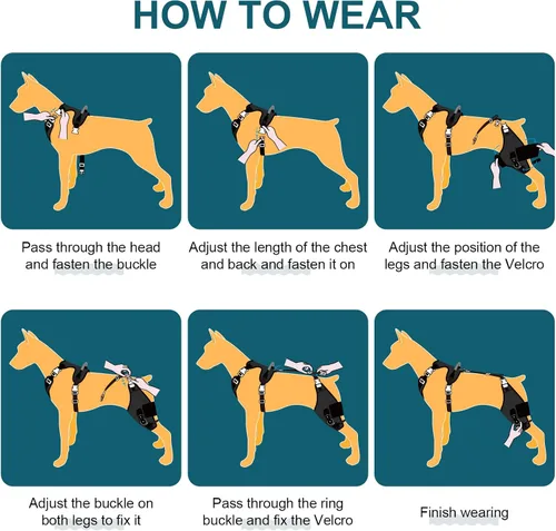 Vista 7 de Rodillera para perro para pierna trasera desgarrada, estabilizador de bisagra ajustable, pierna izquierda, L Dog back brace for Osteoarthritis