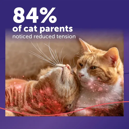 Vista 3 de FELIWAY MultiCat - Kit de difusor calmante para gatos y 6 paquetes de recambio, ayuda a reducir la lucha, la tensión y la agresión entre gatos