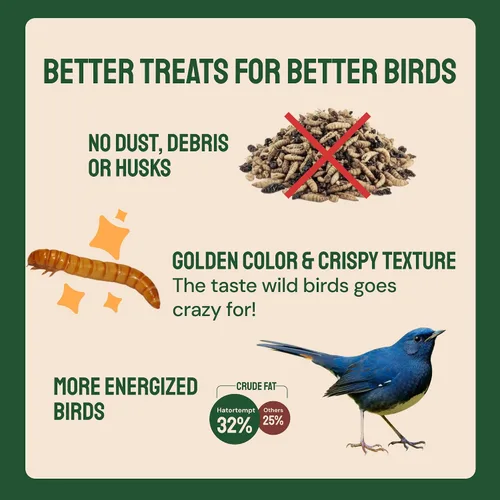 Vista 5 de Hatortempt Gusanos secos de harina para aves silvestres – Bolsa de 1.8 libras – Alimento Bluebird – Gusanos de comida con alto contenido