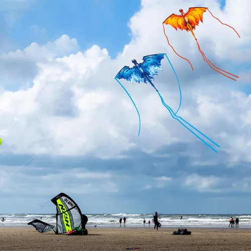 Vista 8 de Large Dragon Kite for Kids & Adults, Easy to Fly Outdoor Beach Park Kite
