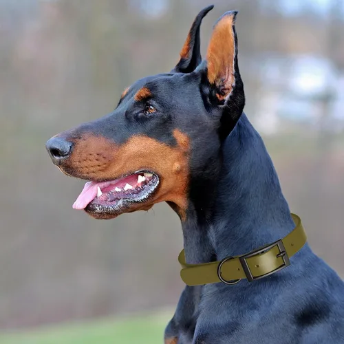Vista 137 de Dogline Biothane - Collar impermeable para perro con hebilla de liberación rápida, resistente cincha de nailon recubierta con resistente y a prueba
